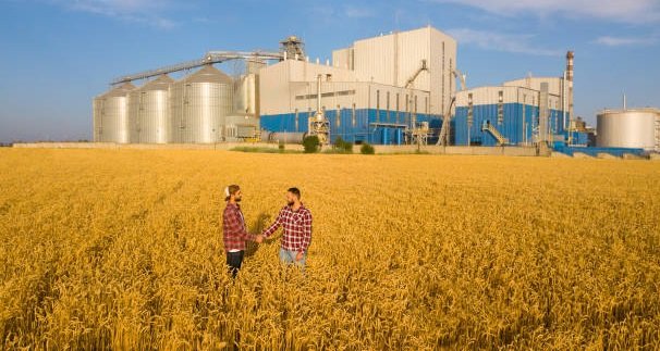 Canadian wheat exporters