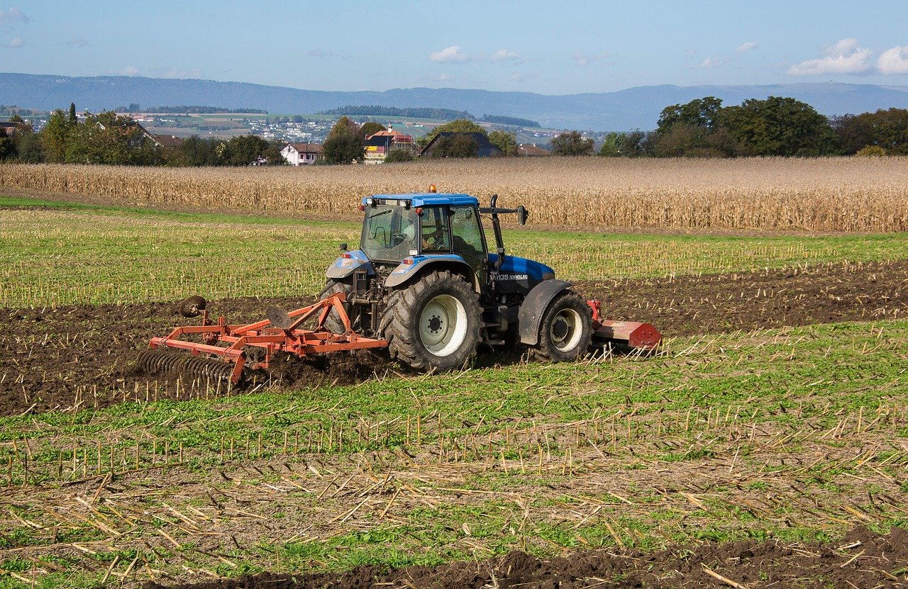 Canadian wheat exporters